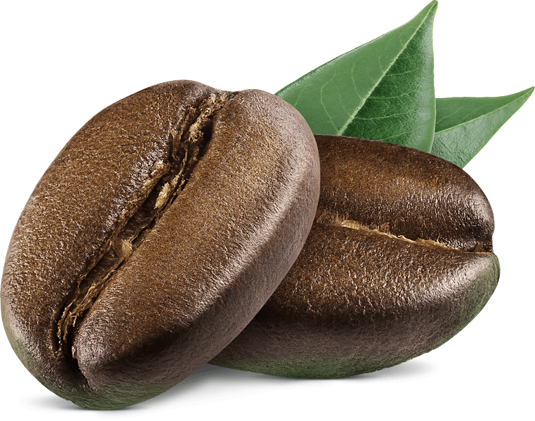 AI in Coffee Quality Control: How VCG Uses Machine Vision