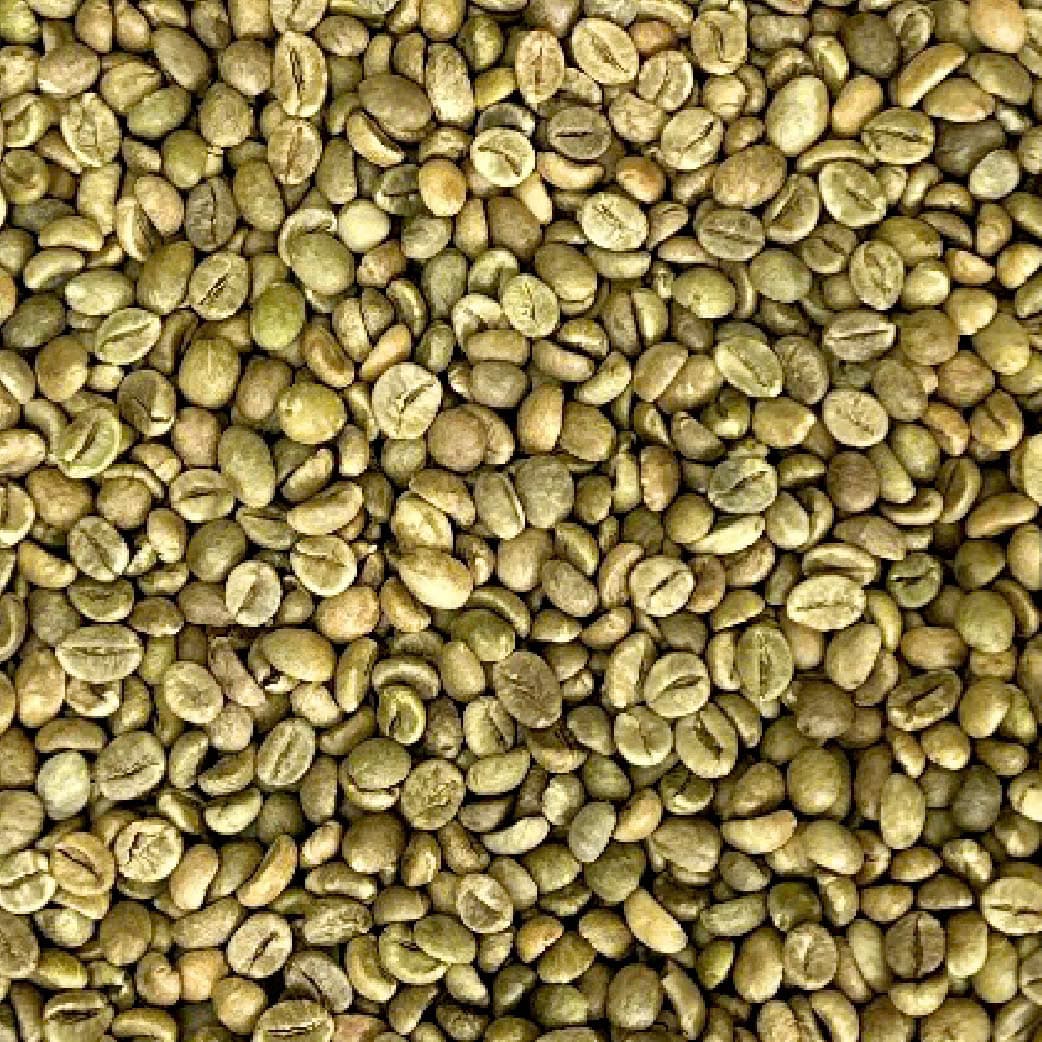 Robusta S16 FAQ
