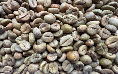 Robusta - Grade 1, S18 Clean Processed