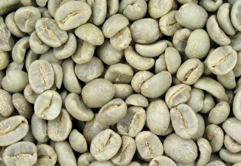 Robusta - Grade 1 S18 Dry Processed